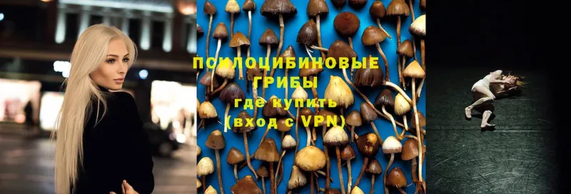 Галлюциногенные грибы Magic Shrooms  что такое   Кодинск 